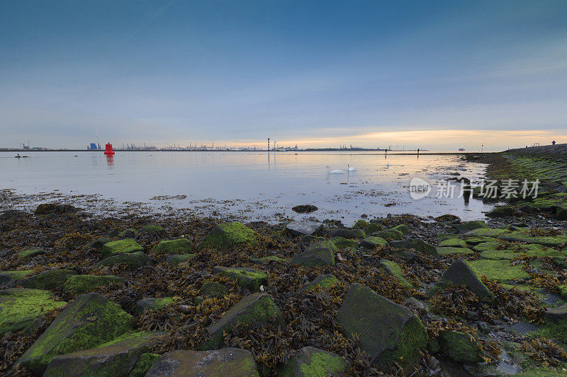 neuwe Waterweg河沿岸多变的海景